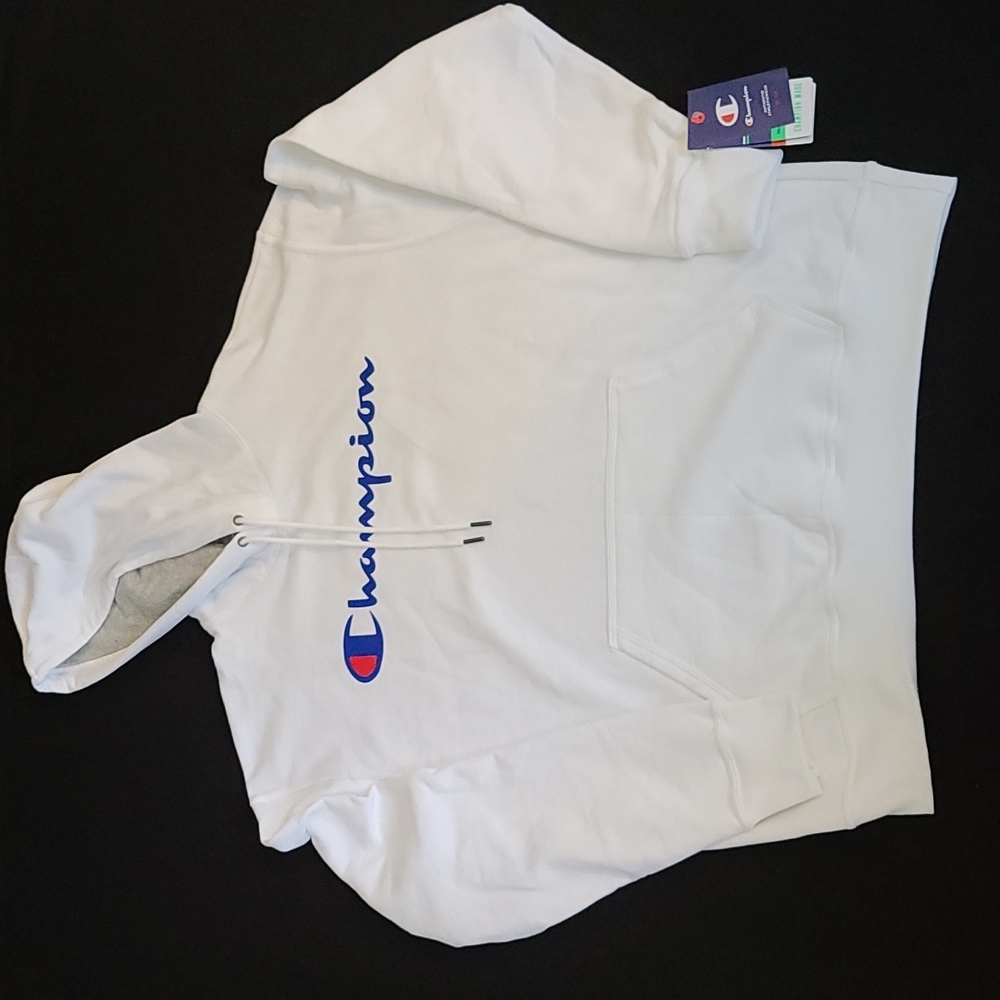 Champion Men's hoodie